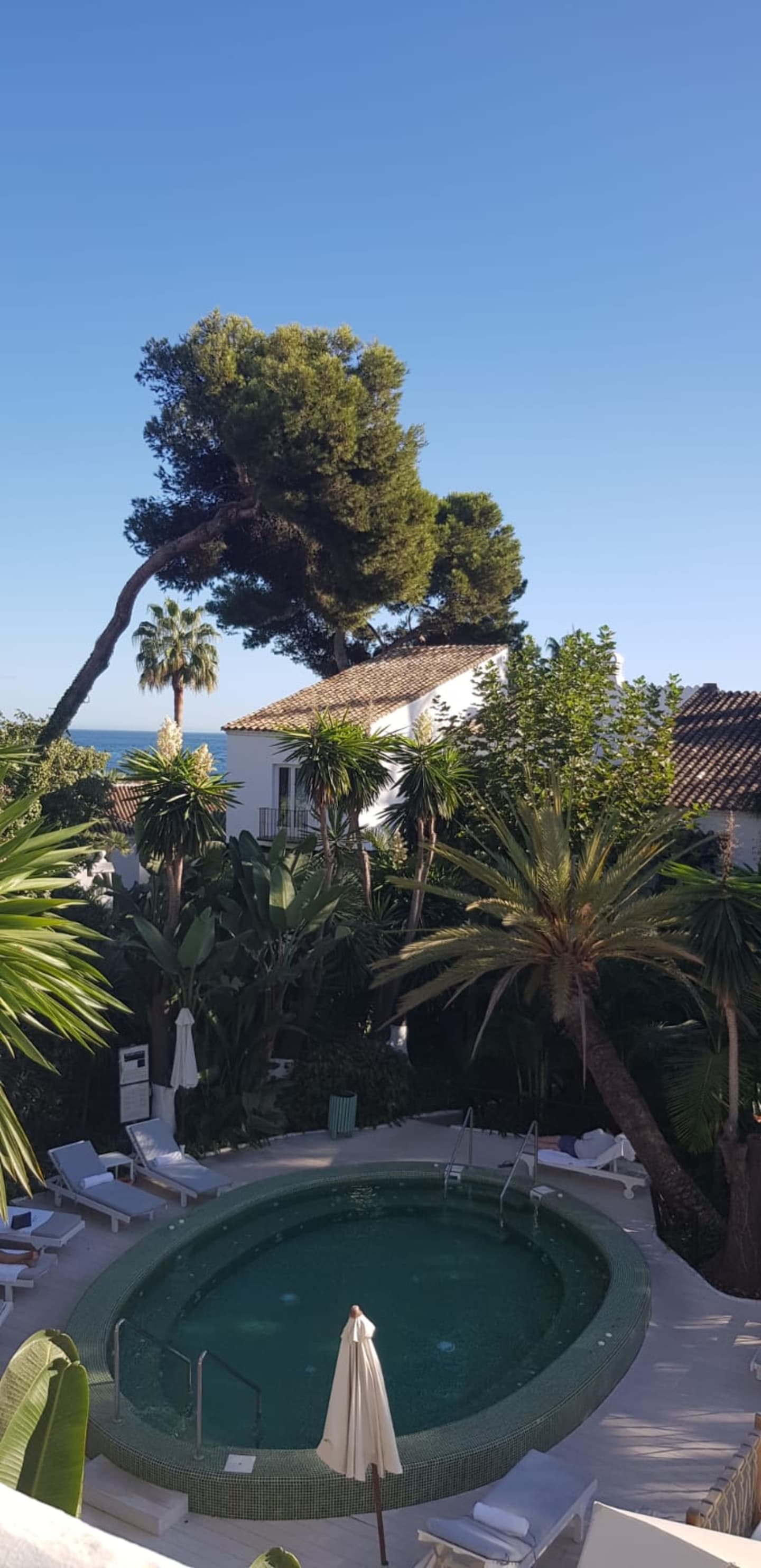 1-bedroom apartment in Marbella photo 1